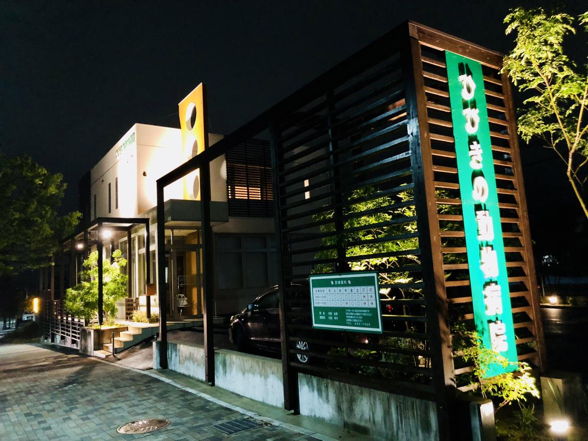 マーケットピア 西松屋 フォレオひびきの店 北九州市若松区 周辺施設 口コミ 写真 動画