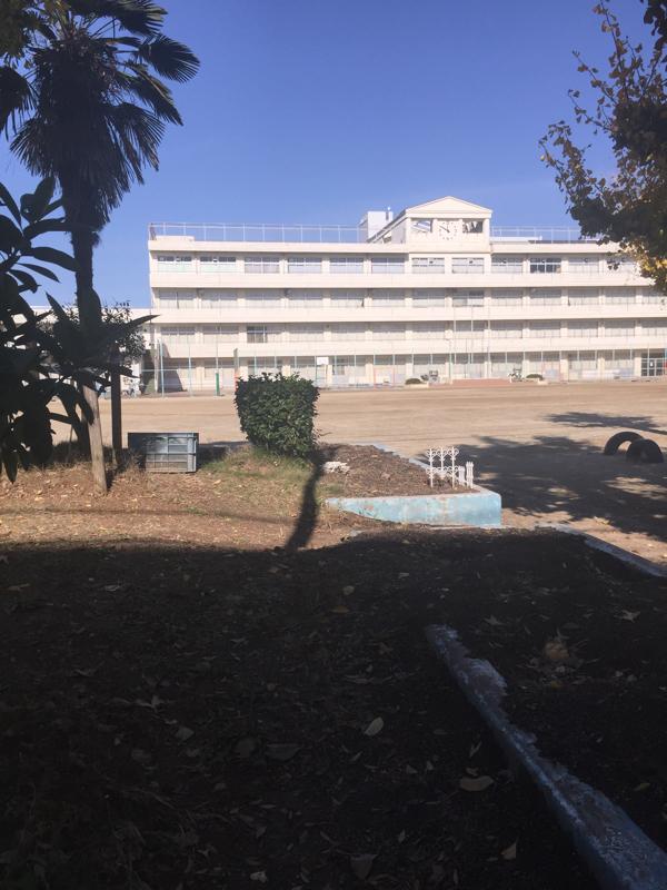 スタディピア 周辺施設の口コミ 写真 動画 東三河看護専門学校 スタディピア 周辺施設の口コミ 写真 動画 東三河看護専門学校