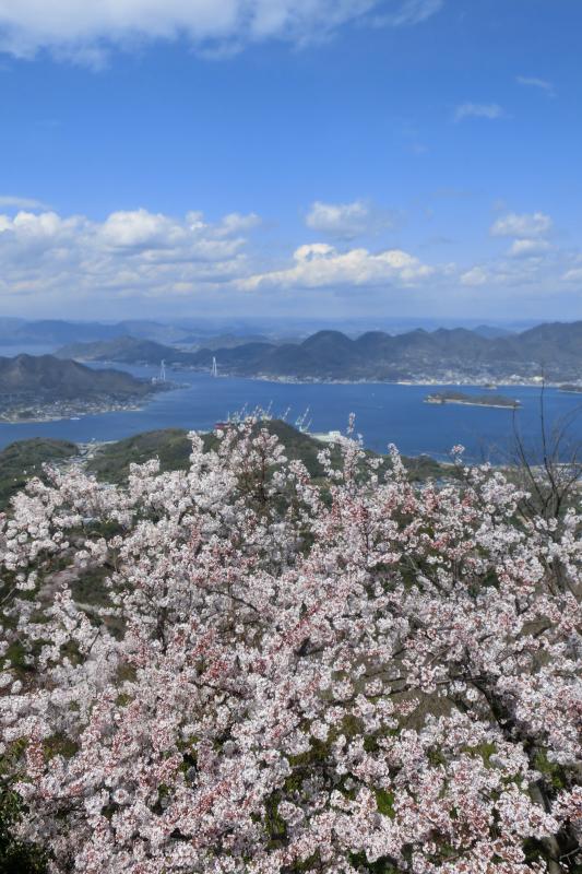 旅探 たびたん 岩城島 積善山 越智郡上島町岩城