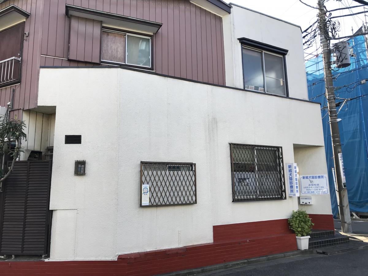 ドッグメディカル 新城犬猫病院 川崎市高津区千年新町