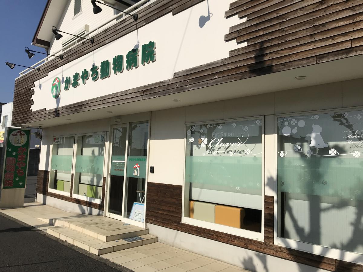 ドッグメディカル かまやち動物病院 成田市加良部