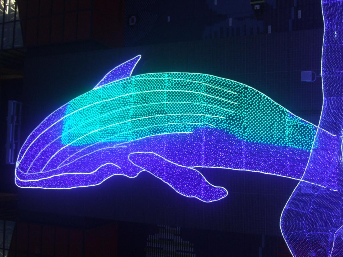 旅探 たびたん 海遊館のコメント一覧 1ページ