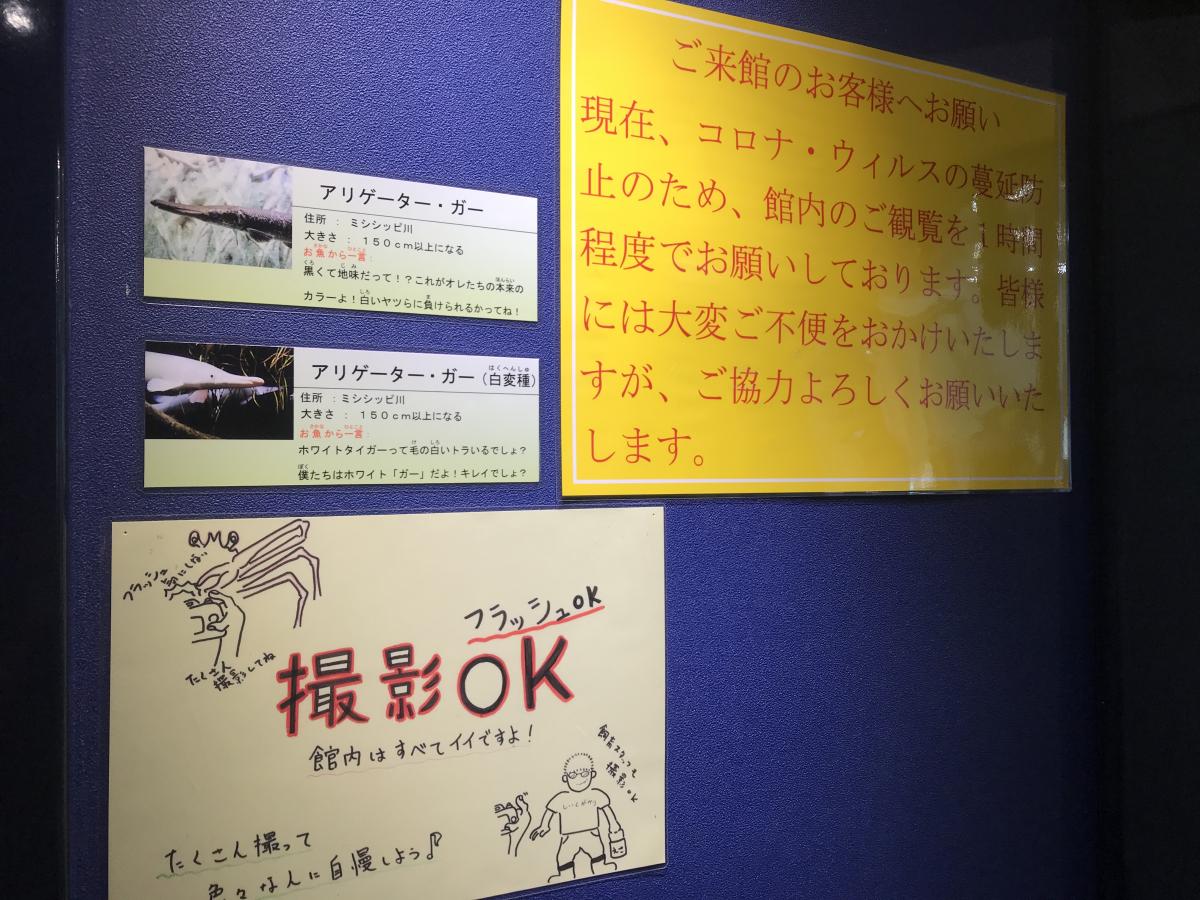 旅探 たびたん 蒲郡市竹島水族館のコメント一覧 1ページ