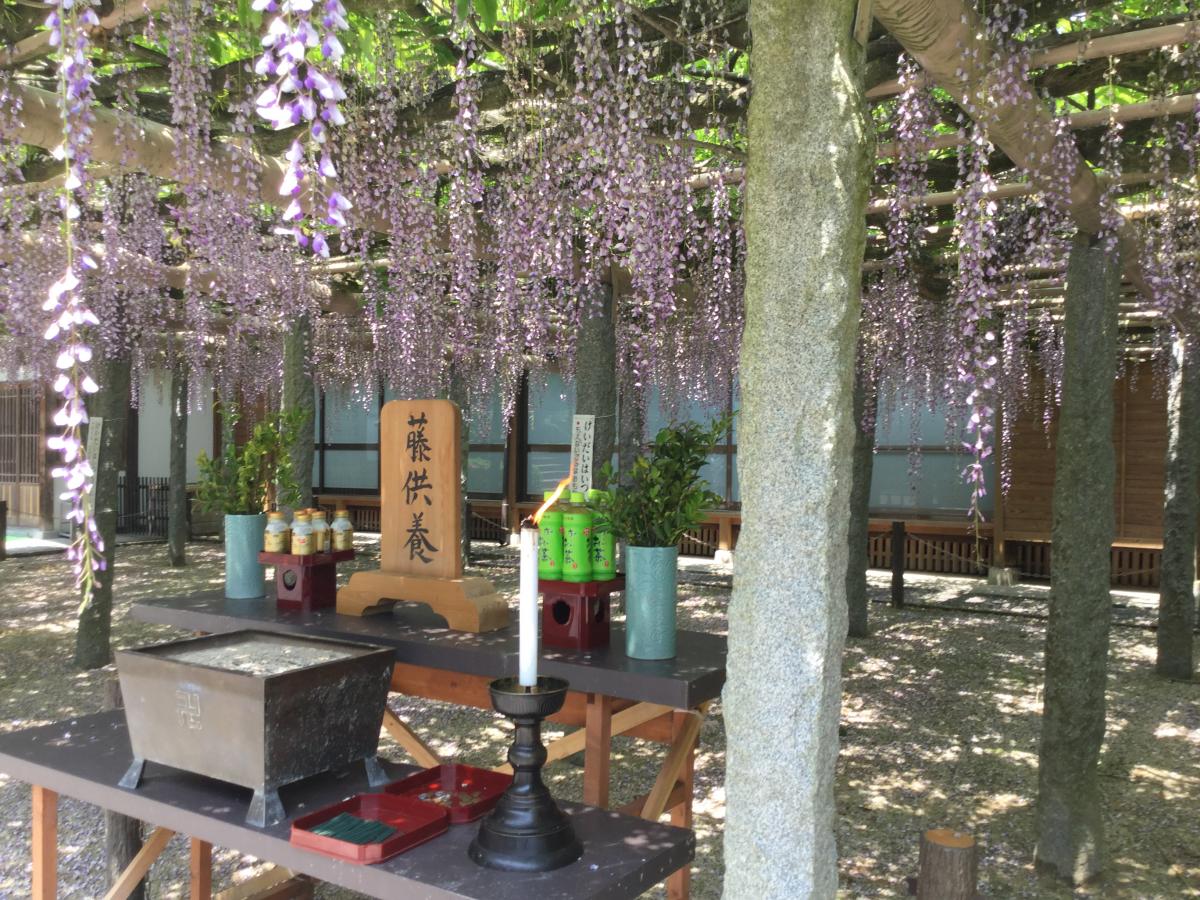 旅探 たびたん 武蔵寺 筑紫野市 の投稿写真一覧