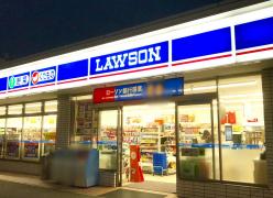 マーケットピア ローソン 八尾青山店 八尾市 周辺の生活施設情報