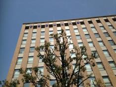 スタディピア 豊島区の大学院検索 ホームメイト