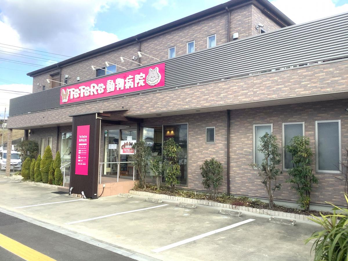 ドッグメディカル ととろ動物病院 福岡市東区土井