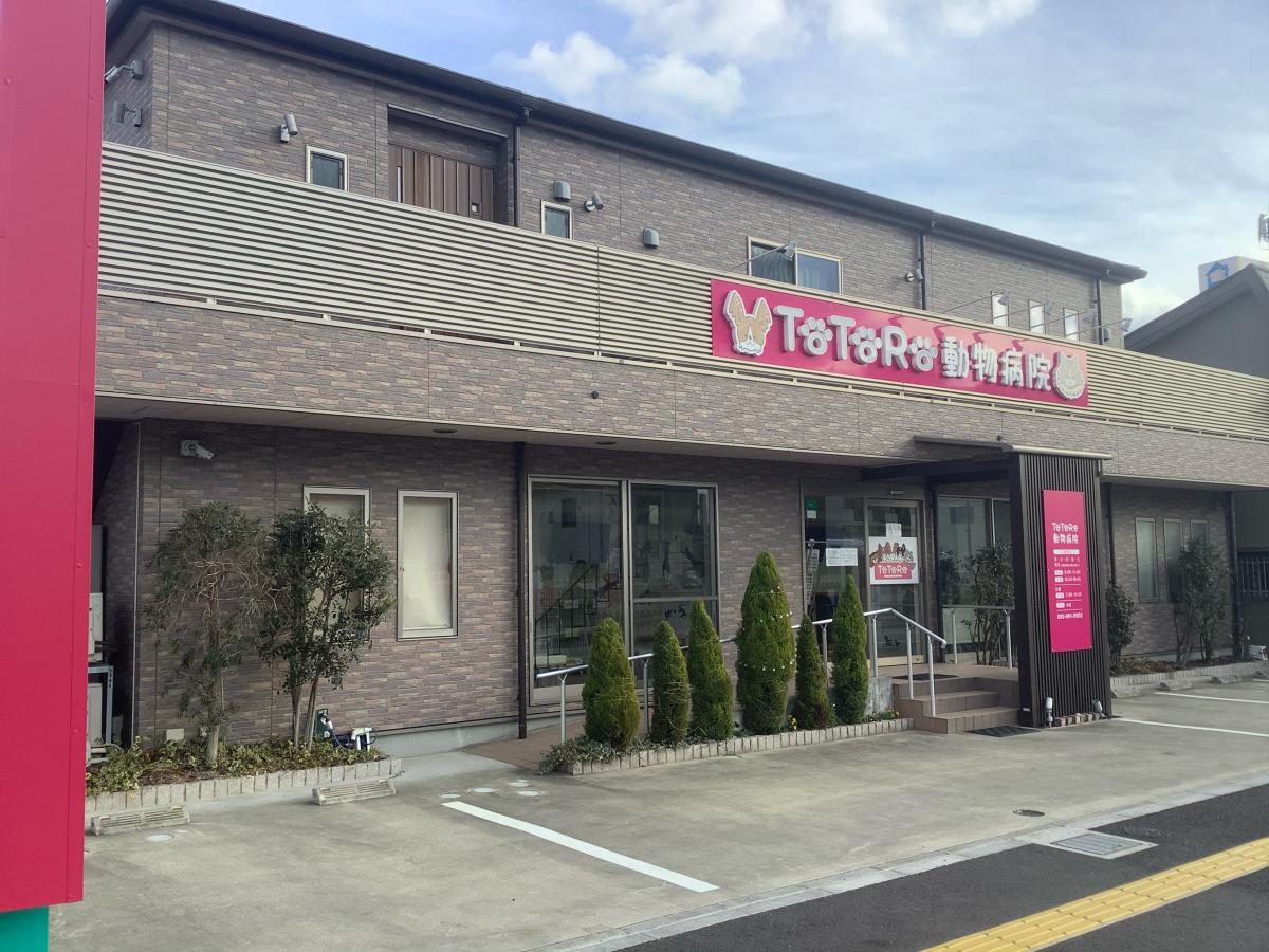 ドッグメディカル ととろ動物病院 福岡市東区土井