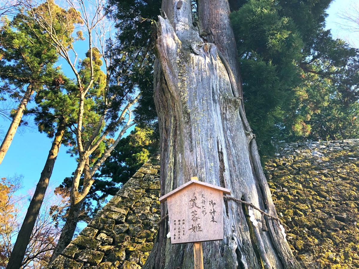 刀剣ワールド 城 高取城跡 高市郡高取町高取