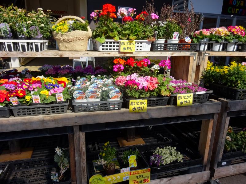 マーケットピア ビバホーム鹿沼店