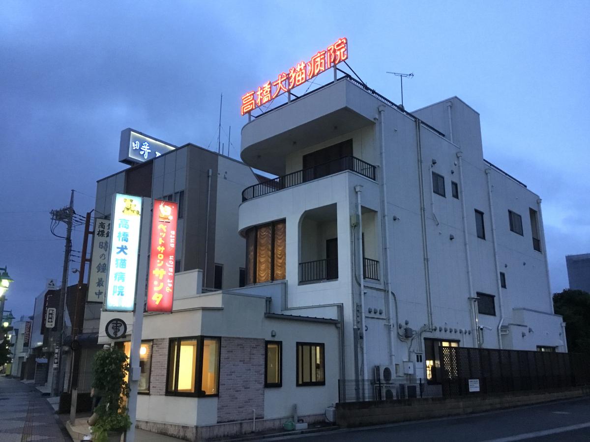 ドッグメディカル】高橋犬猫病院（さいたま市岩槻区本町）