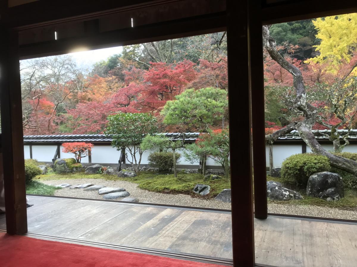 旅探 たびたん 正暦寺 奈良市菩提山町