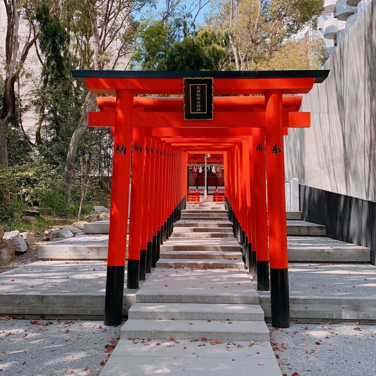 旅探 たびたん 生田神社のコメント一覧 1ページ