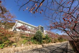 ハッピーペア ハンター迎賓館 神戸市中央区北野町