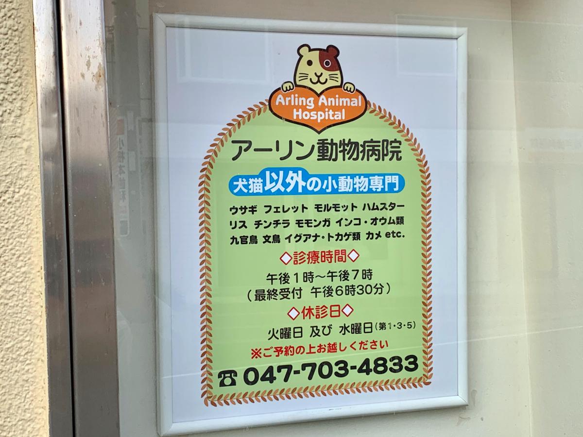 ドッグメディカル アーリン動物病院 松戸市小根本