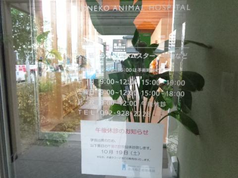 ドッグメディカル あおねこ動物病院 筑紫野市針摺東