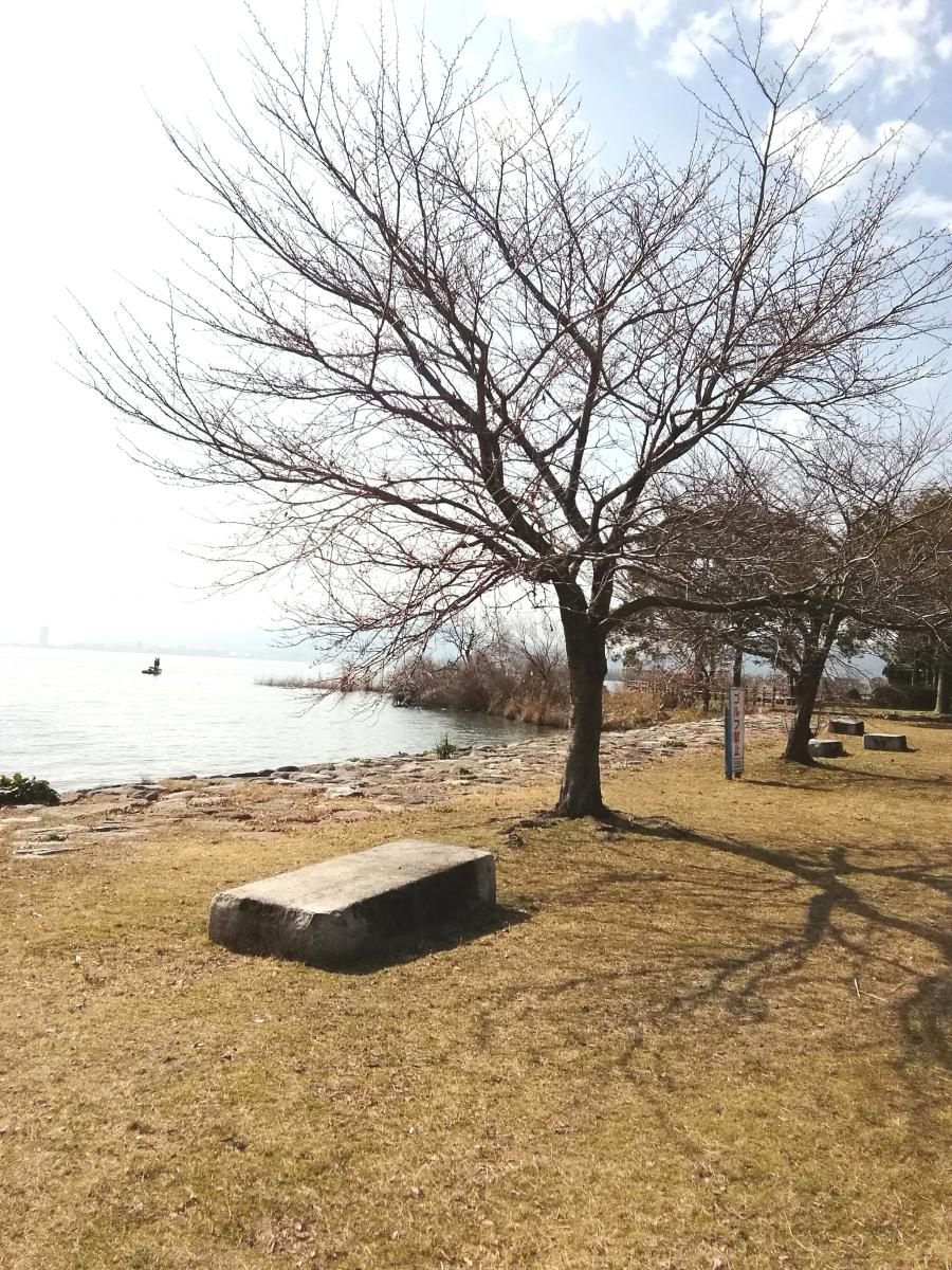 パブリネット 北大津湖岸緑地