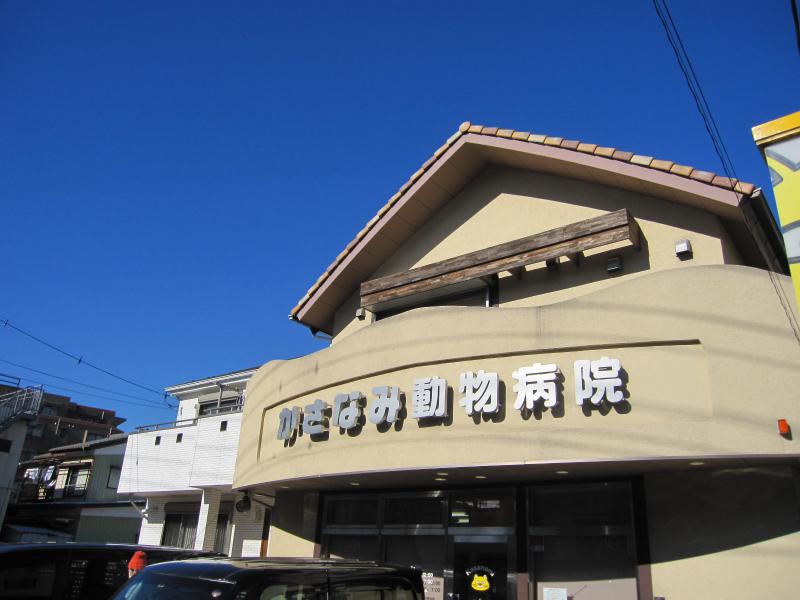 ドッグメディカル かさなみ動物病院 越谷市大沢
