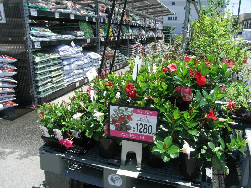 マーケットピア コメリハード グリーン 天理店 天理市二階堂上ノ庄町