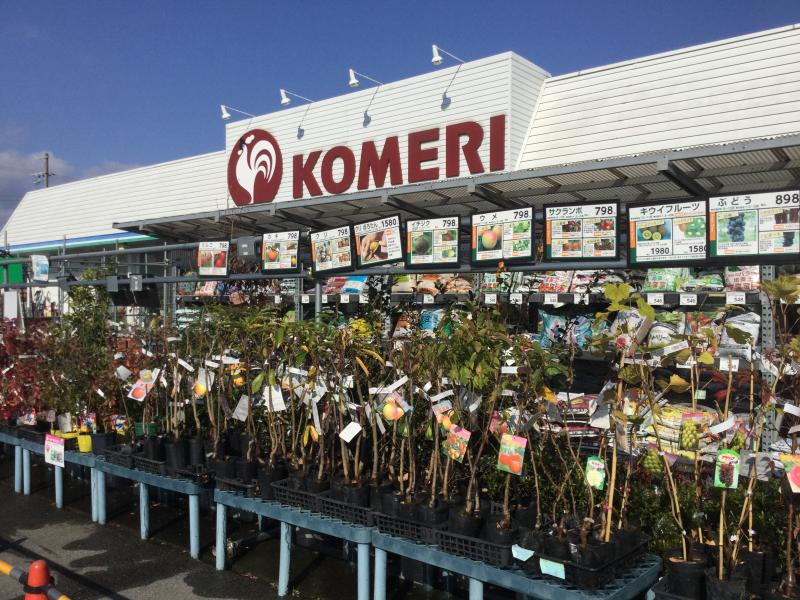 マーケットピア コメリハード グリーン 天理店 天理市 の投稿写真一覧
