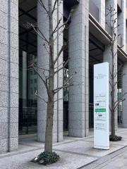 ビッグカンパニー 三井住友海上プライマリー生命保険 東京都中央区 周辺の生活施設情報