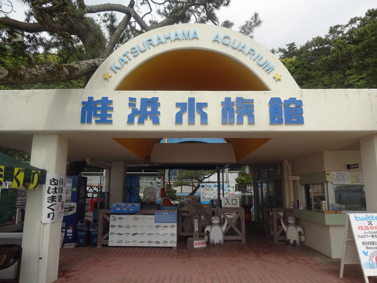 桂浜水族館