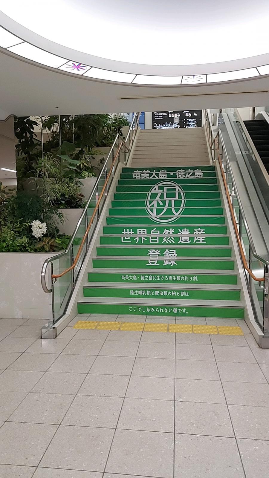 ユキサキnavi 鹿児島空港