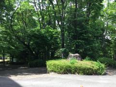 マーケットピア】ザ・ダイソー 入間サイオス店(入間市)の周辺施設