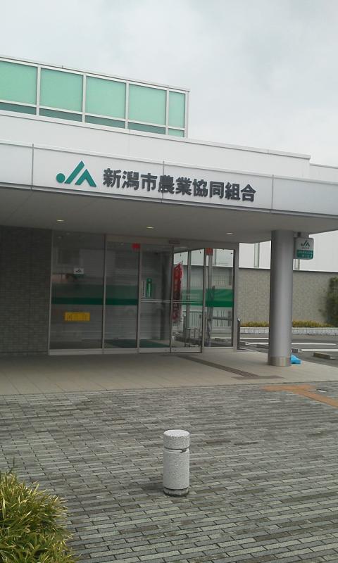 コンビニ
