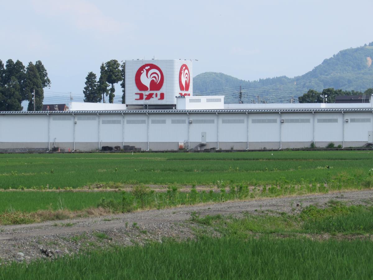 マーケットピア コメリハード グリーン 小千谷店 小千谷市 の投稿写真一覧