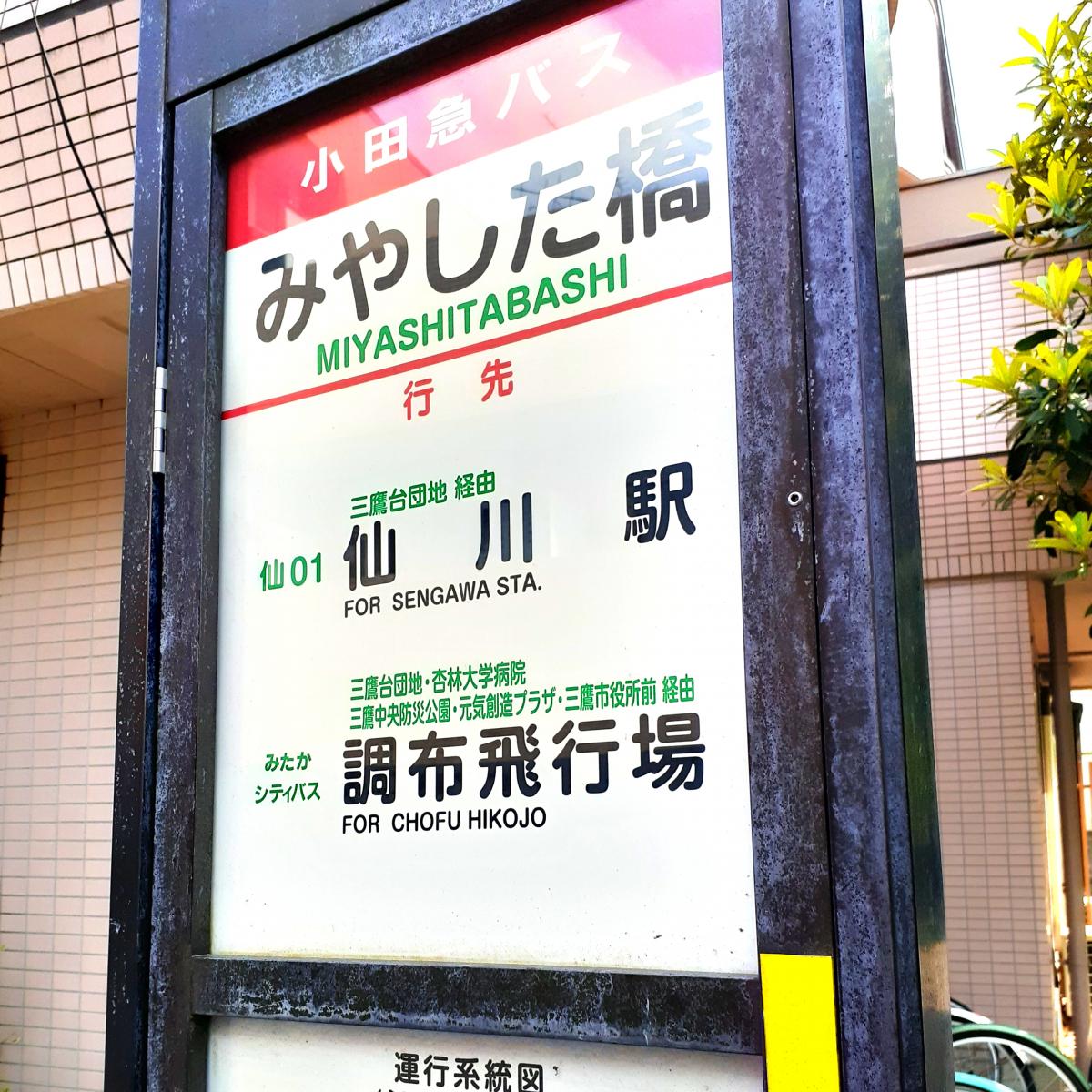 スタディピア 三鷹台保育園 三鷹市 周辺施設 口コミ 写真 動画