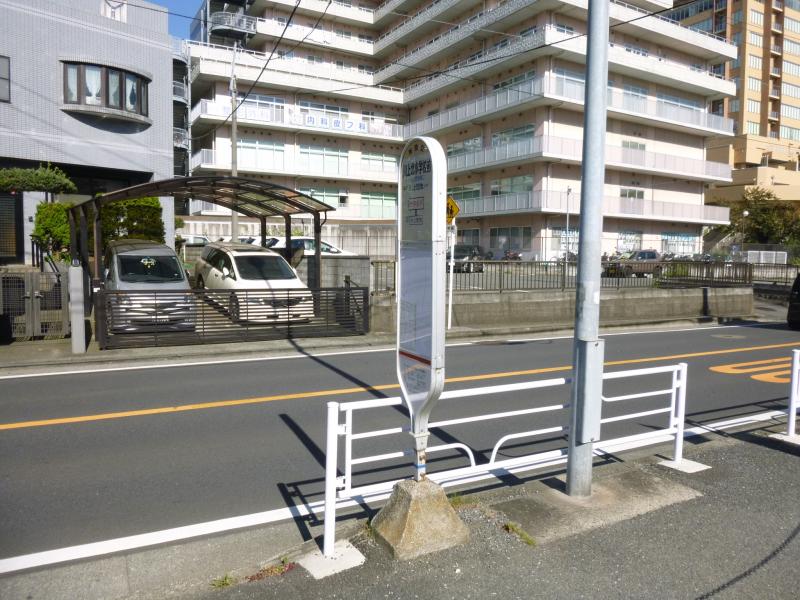 接骨ネット セントラル接骨院東戸塚店 横浜市戸塚区 周辺施設 口コミ 写真 動画