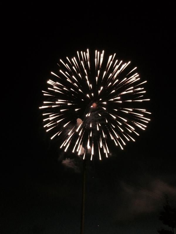 旅探 たびたん 水郷大江夏まつり灯ろう流し花火大会 西村山郡大江町
