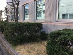 スタディピア まつかげ看護専門学校 名古屋市中川区打出