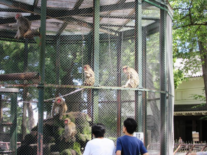 旅探 たびたん 小田原動物園のコメント一覧