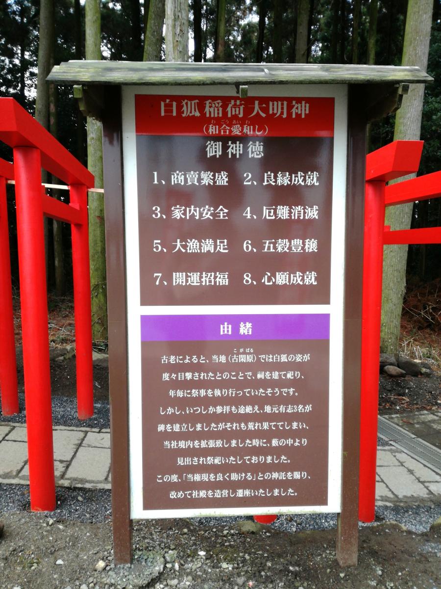 旅探 たびたん 阿蘇白蛇神社のコメント一覧