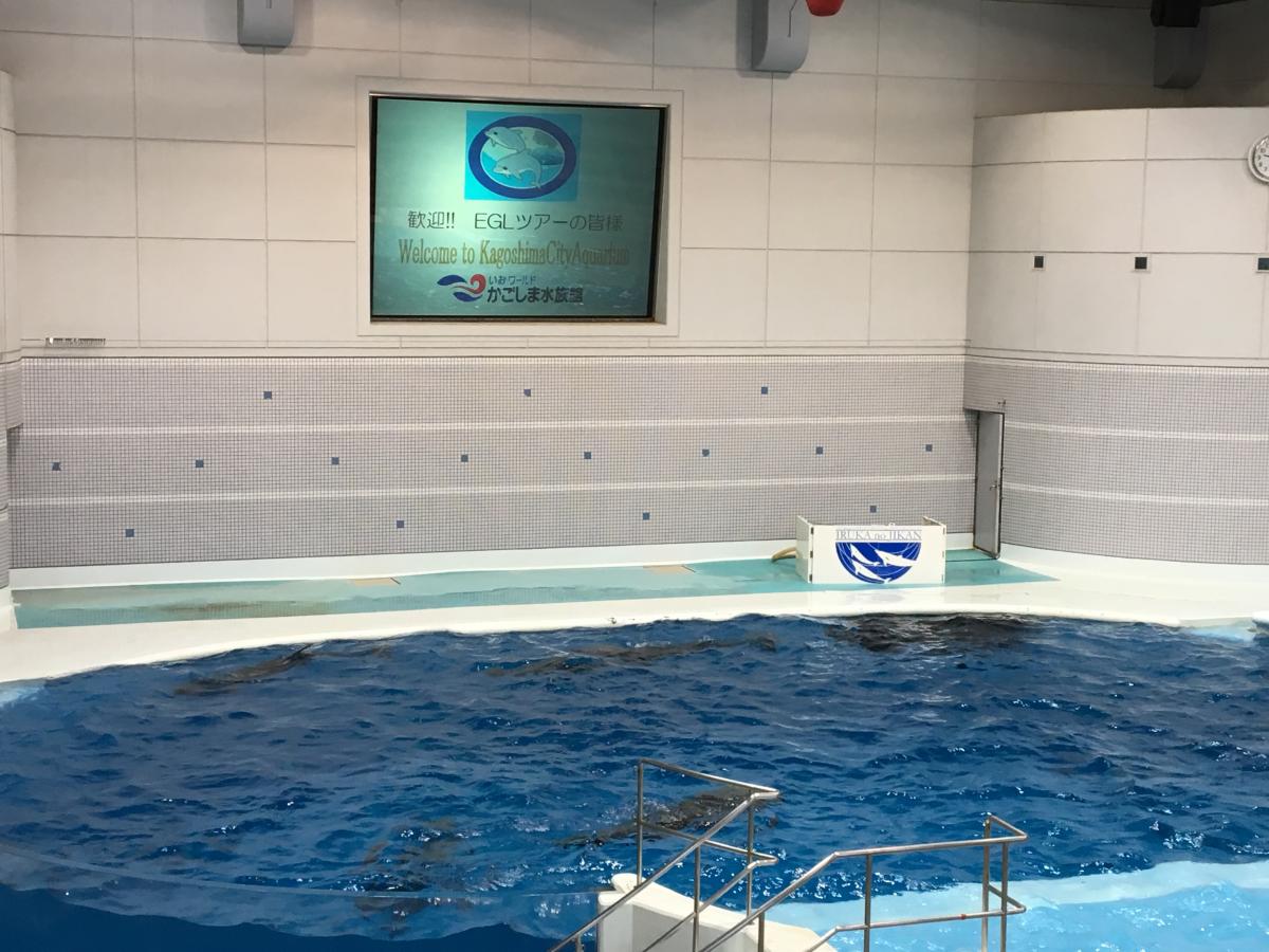 旅探(たびたん)】いおワールドかごしま水族館(鹿児島市)の投稿写真