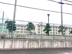 スタディピア 淡路市の学校 塾 幼稚園 専門学校 自動車学校一覧