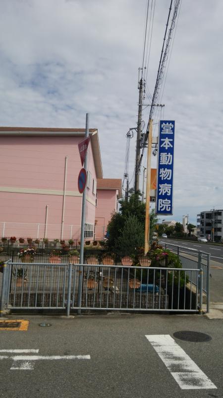ドッグメディカル 堂本動物病院 明石市大久保町わかば