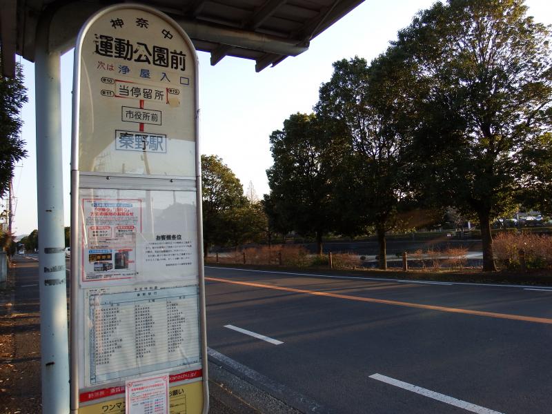 ビッグカンパニー 神奈川中央交通株式会社 秦野営業所 秦野市 周辺施設 口コミ 写真 動画