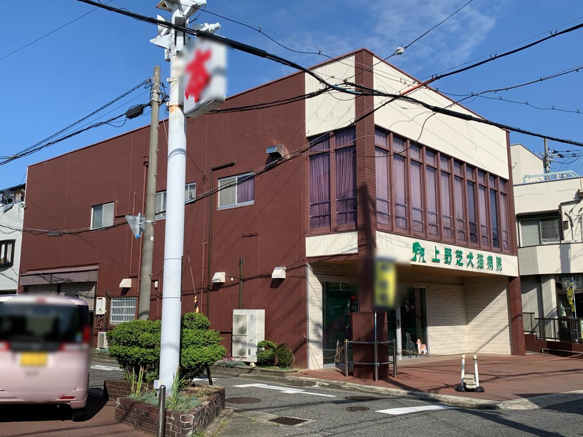 ドッグメディカル 上野芝犬猫病院 堺市堺区東上野芝町 １丁