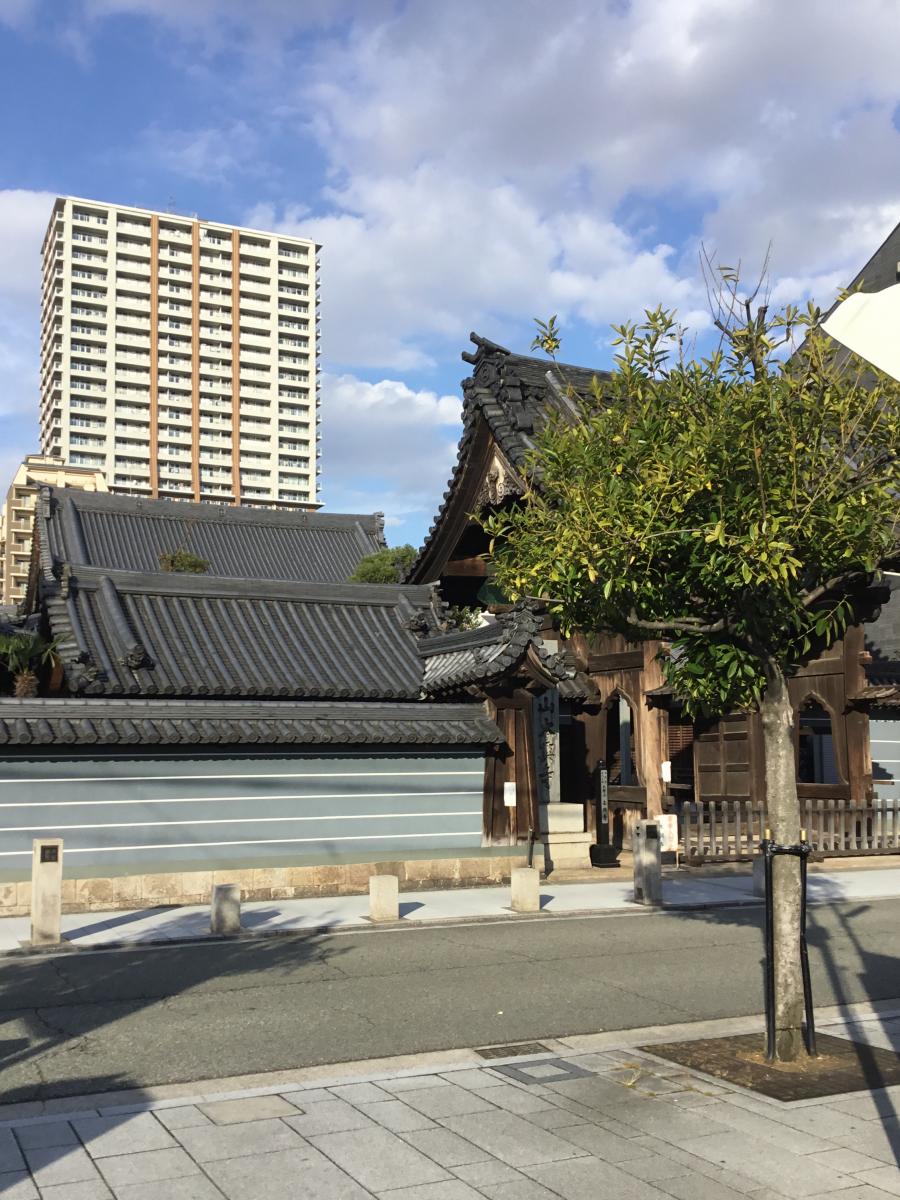 旅探 たびたん 本興寺 尼崎市開明町