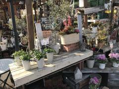 マーケットピア ユニディ川口店