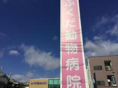 ドッグメディカル 堺市中区の動物病院 ペットクリニック 一覧