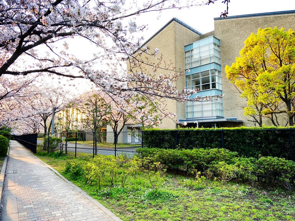 スタディピア 鎌倉女子大学大学院 鎌倉市