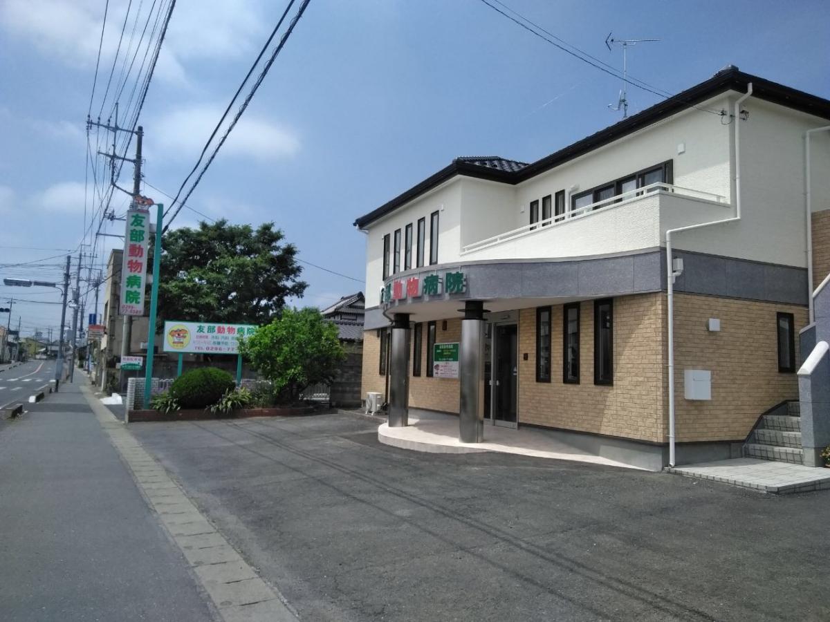 接骨ネット 楽腰館東平鍼灸接骨院 笠間市 周辺施設 口コミ 写真 動画