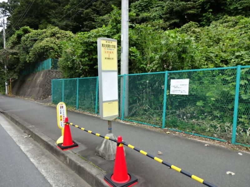 ユキサキナビ 湘北短期大学前 バス停留所 厚木市 の投稿写真一覧