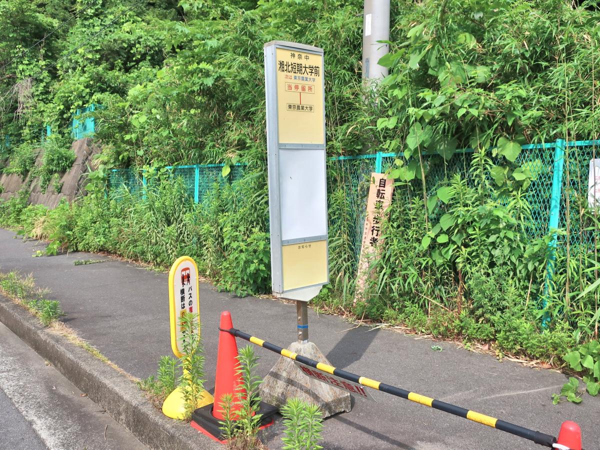 ユキサキナビ 神奈川中央交通 湘北短期大学前 バス停留所 厚木市温水