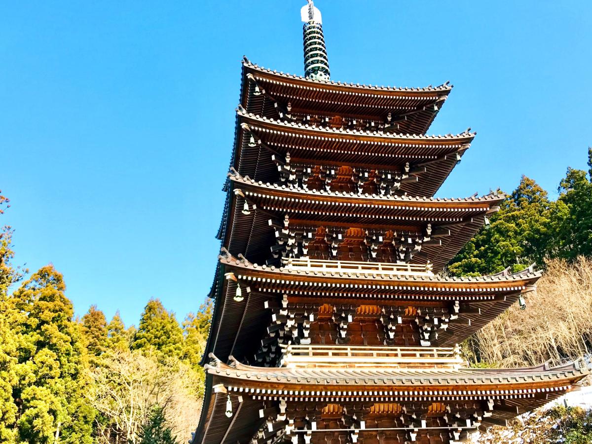 青龍寺/ホームメイト