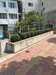 ビッグカンパニー アステラス製薬株式会社 関越支店 台東区 の周辺施設写真一覧 5ページ